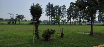  Residential Plot for Sale in Sahnewal, Ludhiana