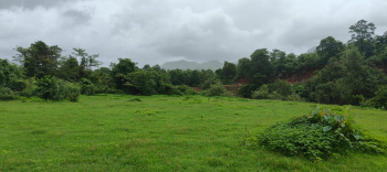  Agricultural Land for Sale in Mahad, Raigad