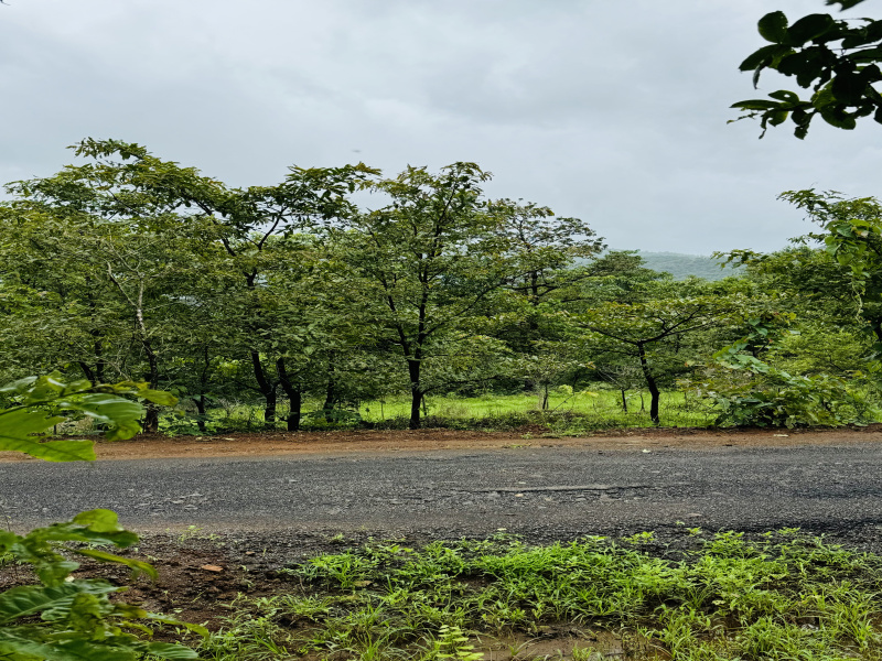  Agricultural Land 2 Acre for Sale in Mahad, Raigad