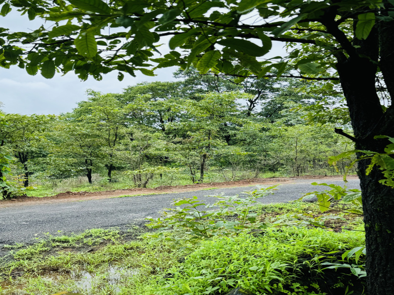  Agricultural Land 2 Acre for Sale in Mahad, Raigad