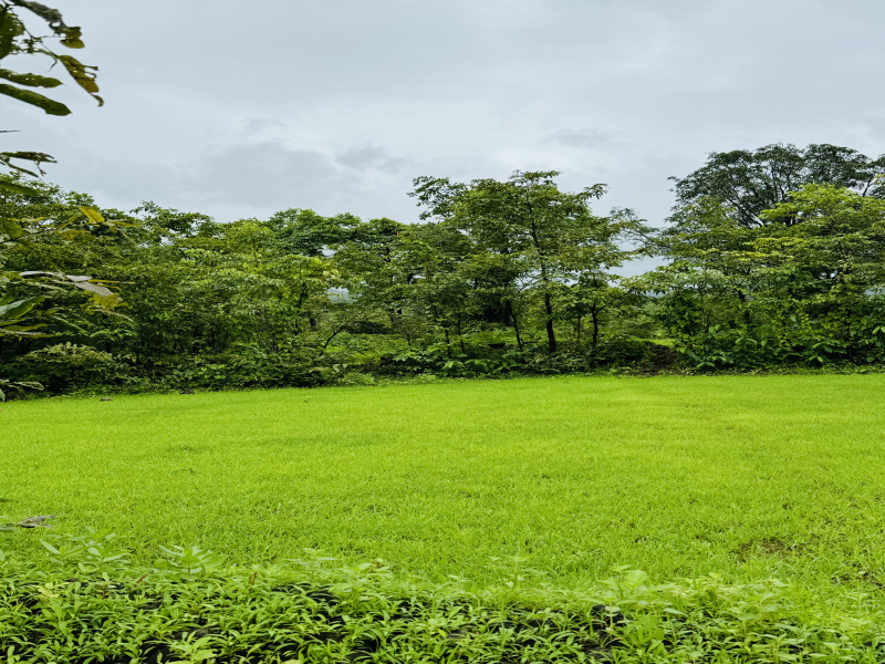  Agricultural Land 2 Acre for Sale in Mahad, Raigad