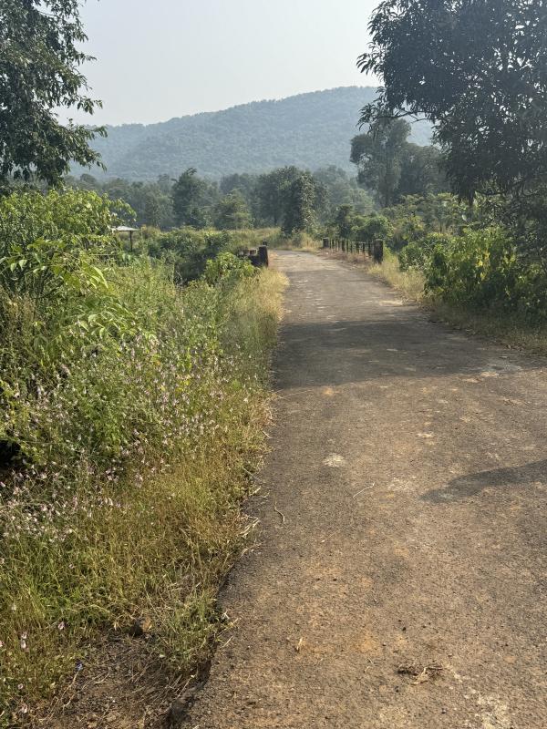  Agricultural Land 11 Acre for Sale in Mahad, Raigad