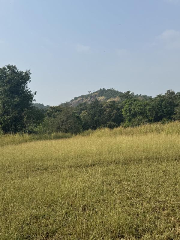  Agricultural Land 11 Acre for Sale in Mahad, Raigad