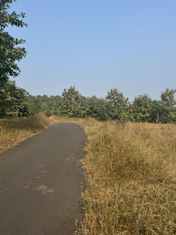  Residential Plot 8 Acre for Sale in Mahad, Raigad