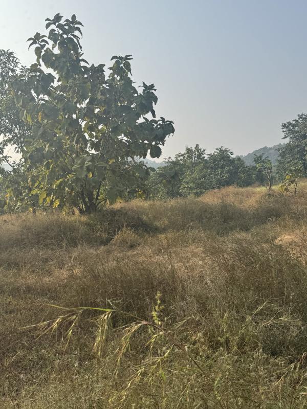  Residential Plot 8 Acre for Sale in Mahad, Raigad