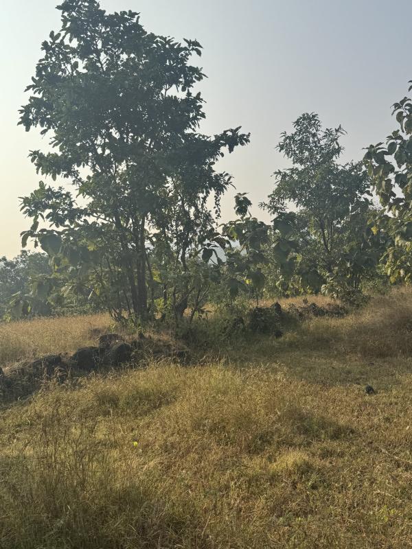  Residential Plot 8 Acre for Sale in Mahad, Raigad