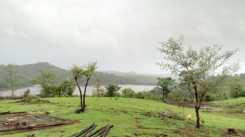  Agricultural Land 100 Acre for Sale in Dapoli, Ratnagiri