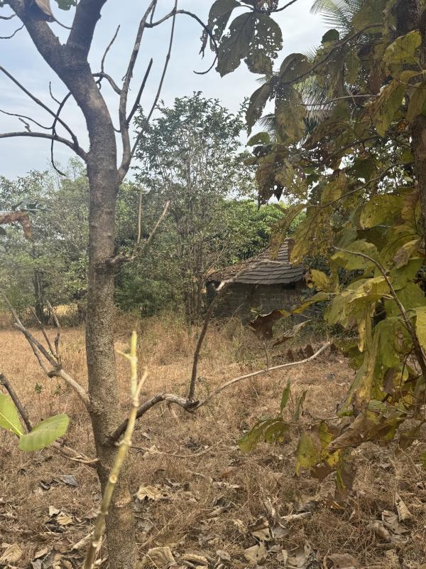  Residential Plot 100 Acre for Sale in Poladpur, Raigad