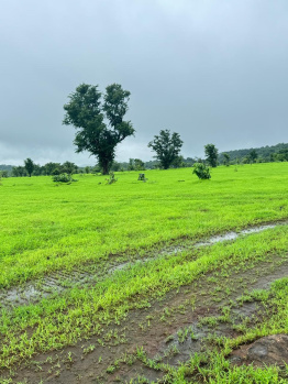 Agricultural Land for Sale in Mahad, Raigad