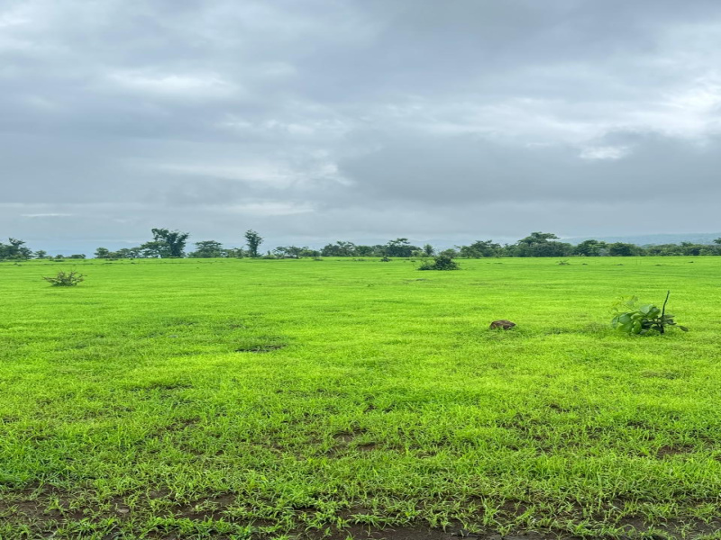  Agricultural Land 88 Sq.ft. for Sale in Mahad, Raigad