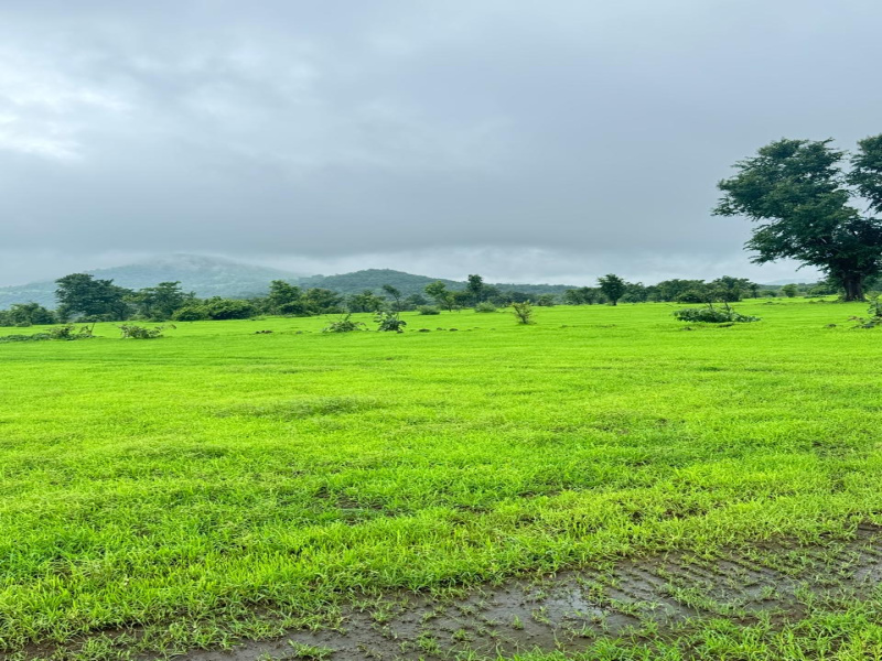  Agricultural Land 88 Sq.ft. for Sale in Mahad, Raigad