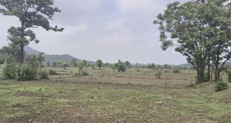  Agricultural Land 100 Acre for Sale in Mahad, Raigad
