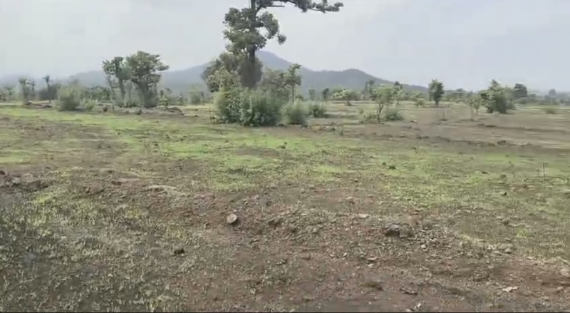  Agricultural Land 100 Acre for Sale in Mahad, Raigad