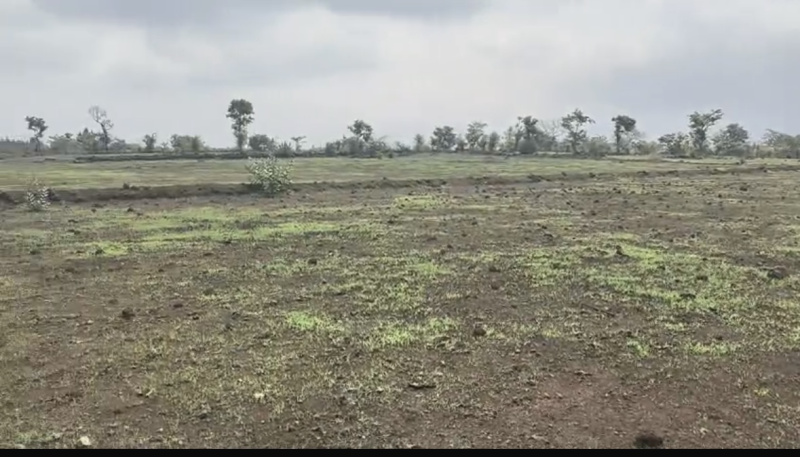  Agricultural Land 100 Acre for Sale in Mahad, Raigad