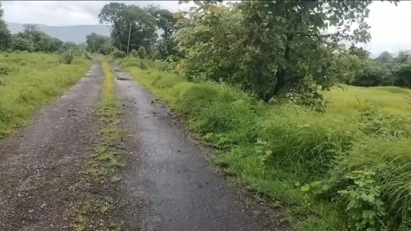  Agricultural Land 100 Acre for Sale in Poladpur, Raigad