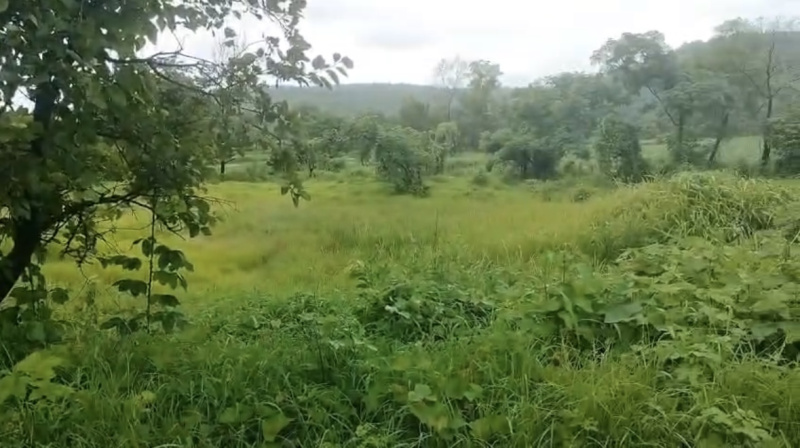  Agricultural Land 100 Acre for Sale in Poladpur, Raigad
