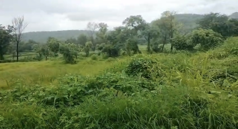 Agricultural Land 100 Acre for Sale in Poladpur, Raigad