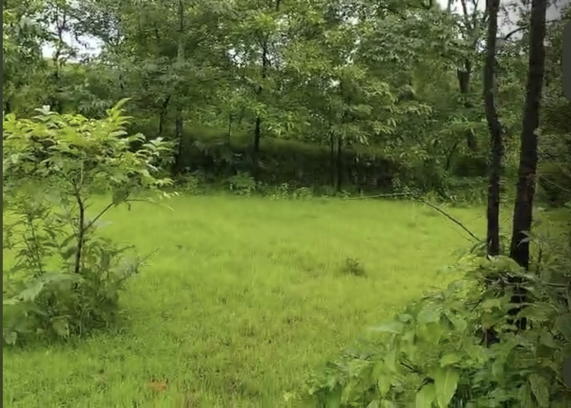  Agricultural Land 9 Acre for Sale in Mahad, Raigad