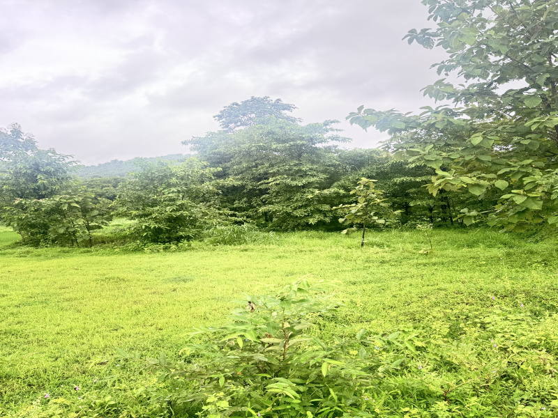  Agricultural Land 1 Acre for Sale in Mahad, Raigad