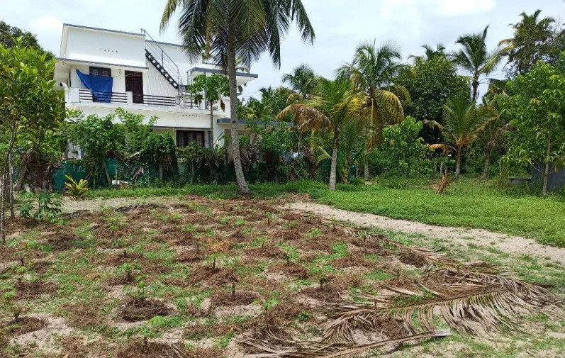  Residential Plot 9 Cent for Sale in Haripad, Alappuzha