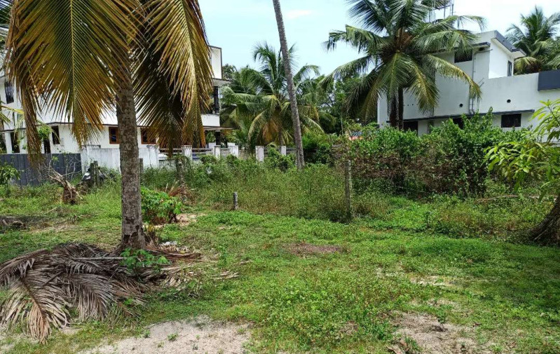  Residential Plot 9 Cent for Sale in Haripad, Alappuzha