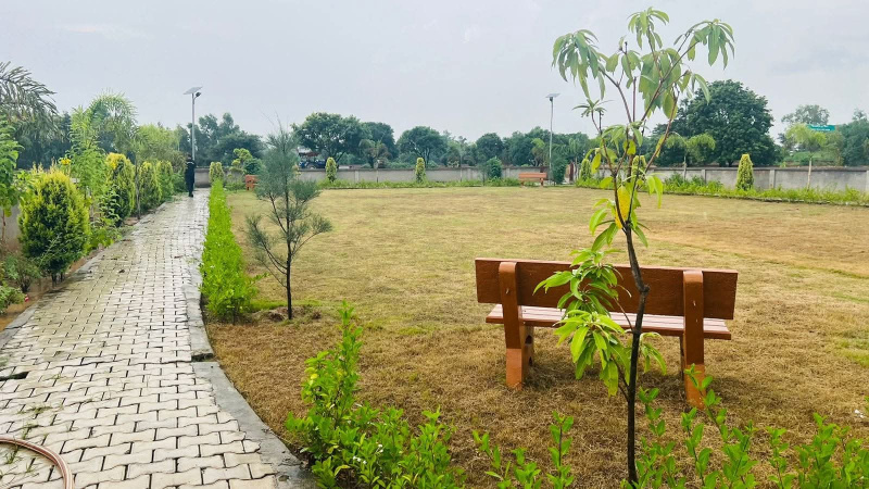  Residential Plot 772 Sq.ft. for Sale in Manoharpur, Moradabad