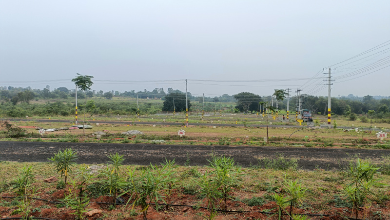  Residential Plot 1200 Sq.ft. for Sale in Kadakola, Mysore