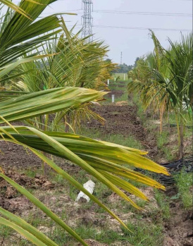  Agricultural Land for Sale in Acharapakkam, Chengalpattu