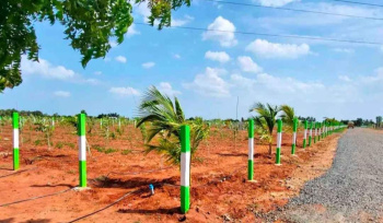  Agricultural Land for Sale in Marakkanam, Chennai