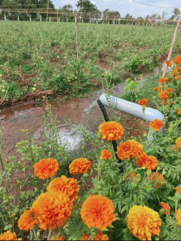  Agricultural Land for Sale in Maduranthakam, Chengalpattu