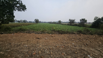  Agricultural Land for Sale in Nagpur Road, Chhindwara