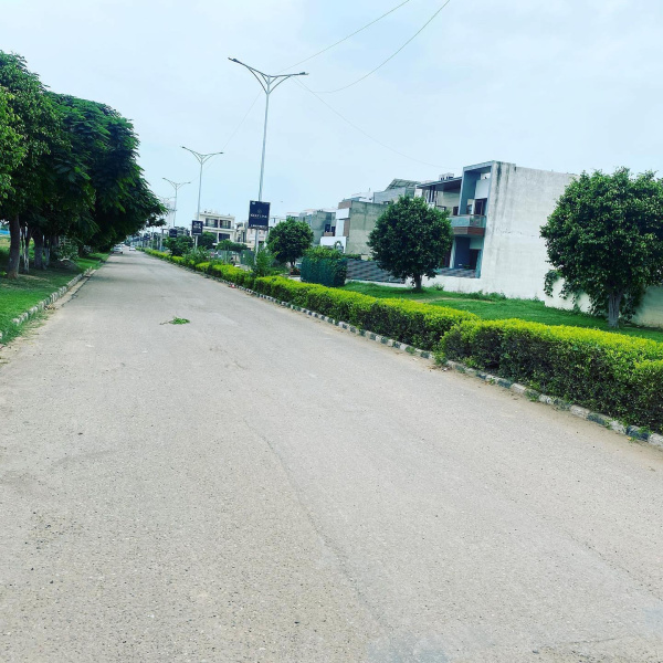  Residential Plot 250 Sq. Yards for Sale in Sector 118 Mohali