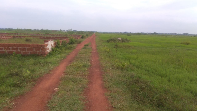  Residential Plot 1200 Sq.ft. for Sale in Patrapada, Bhubaneswar