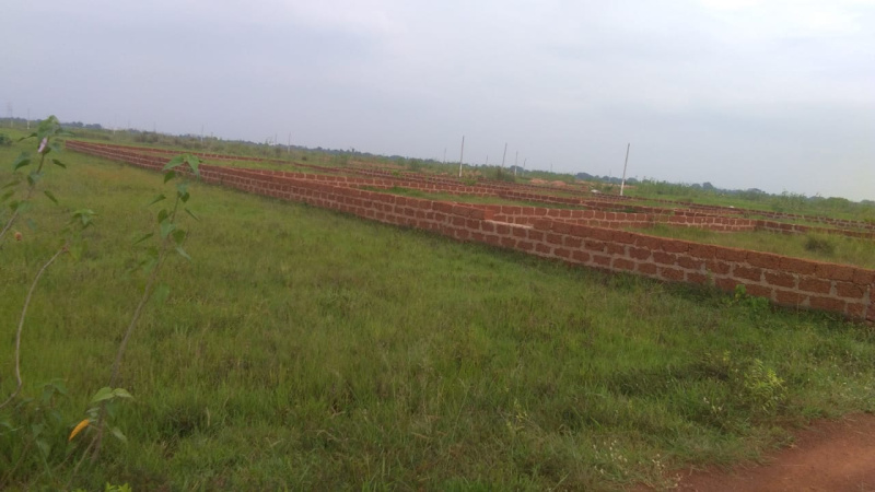  Residential Plot 1200 Sq.ft. for Sale in Patrapada, Bhubaneswar