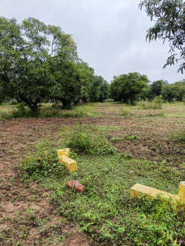  Residential Plot for Sale in Vengal, Chennai