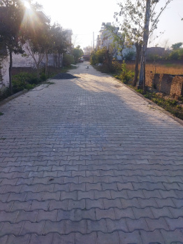 2 BHK Builder Floor for Rent in Machhiwara, Ludhiana