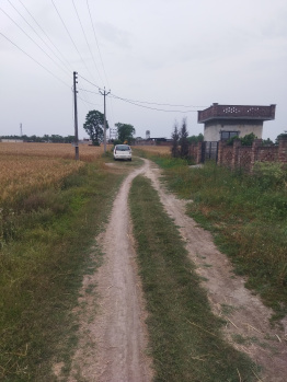  Agricultural Land for Sale in Nurpur Bedi, Ropar, Rupnagar