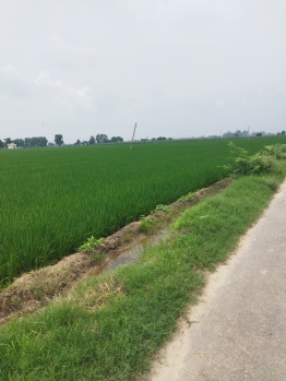  Agricultural Land for Sale in Nehon, Rupnagar