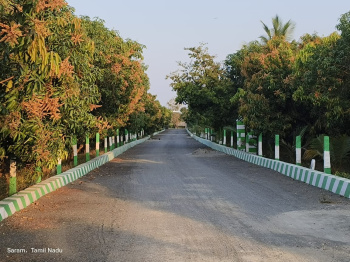  Agricultural Land for Sale in Olakkur, Villupuram