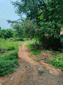  Residential Plot for Sale in Thenkurissi, Palakkad