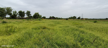  Agricultural Land for Sale in Narsampet, Warangal