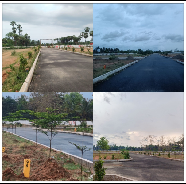  Residential Plot 157 Sq. Yards for Sale in Bhogapuram, Visakhapatnam