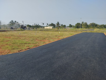  Residential Plot for Sale in Allithurai, Tiruchirappalli