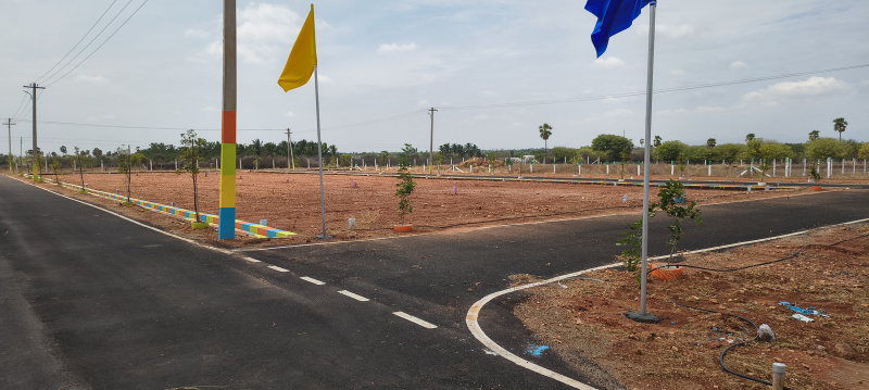  Residential Plot 1200 Sq.ft. for Sale in Pallapatti, Karur
