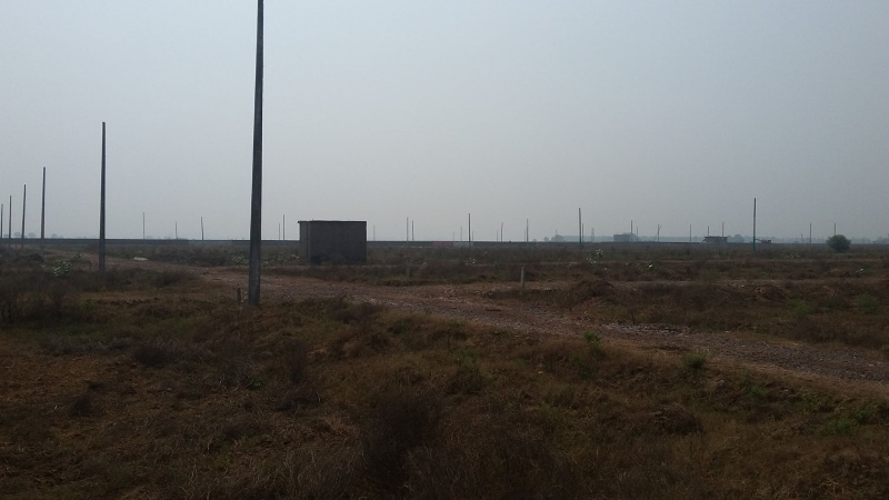  Residential Plot 100 Sq. Yards for Sale in Sector 89 Faridabad