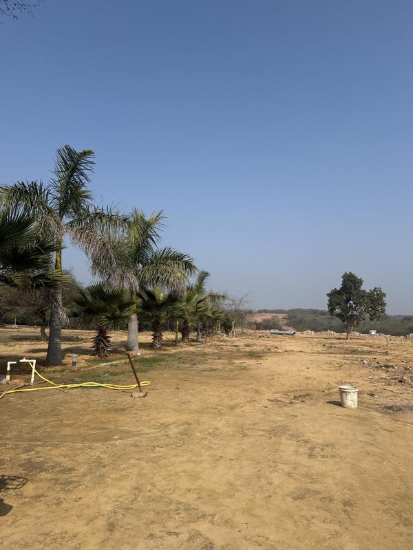 2 BHK Farm House 1 Acre for Sale in Sohna, Gurgaon