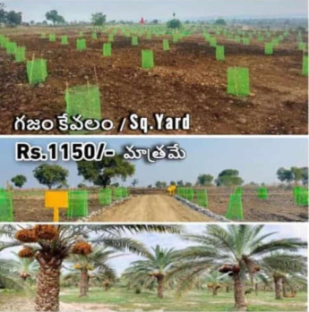  Agricultural Land for Sale in Madhapur, Hyderabad