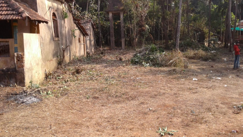  Residential Plot 7450 Sq. Meter for Sale in Loliem, Goa