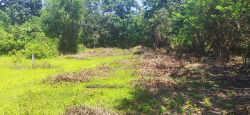  Residential Plot for Sale in Agacaim, Goa