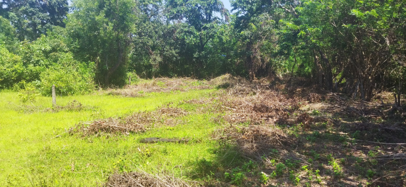  Residential Plot 16000 Sq. Meter for Sale in Agacaim, Goa